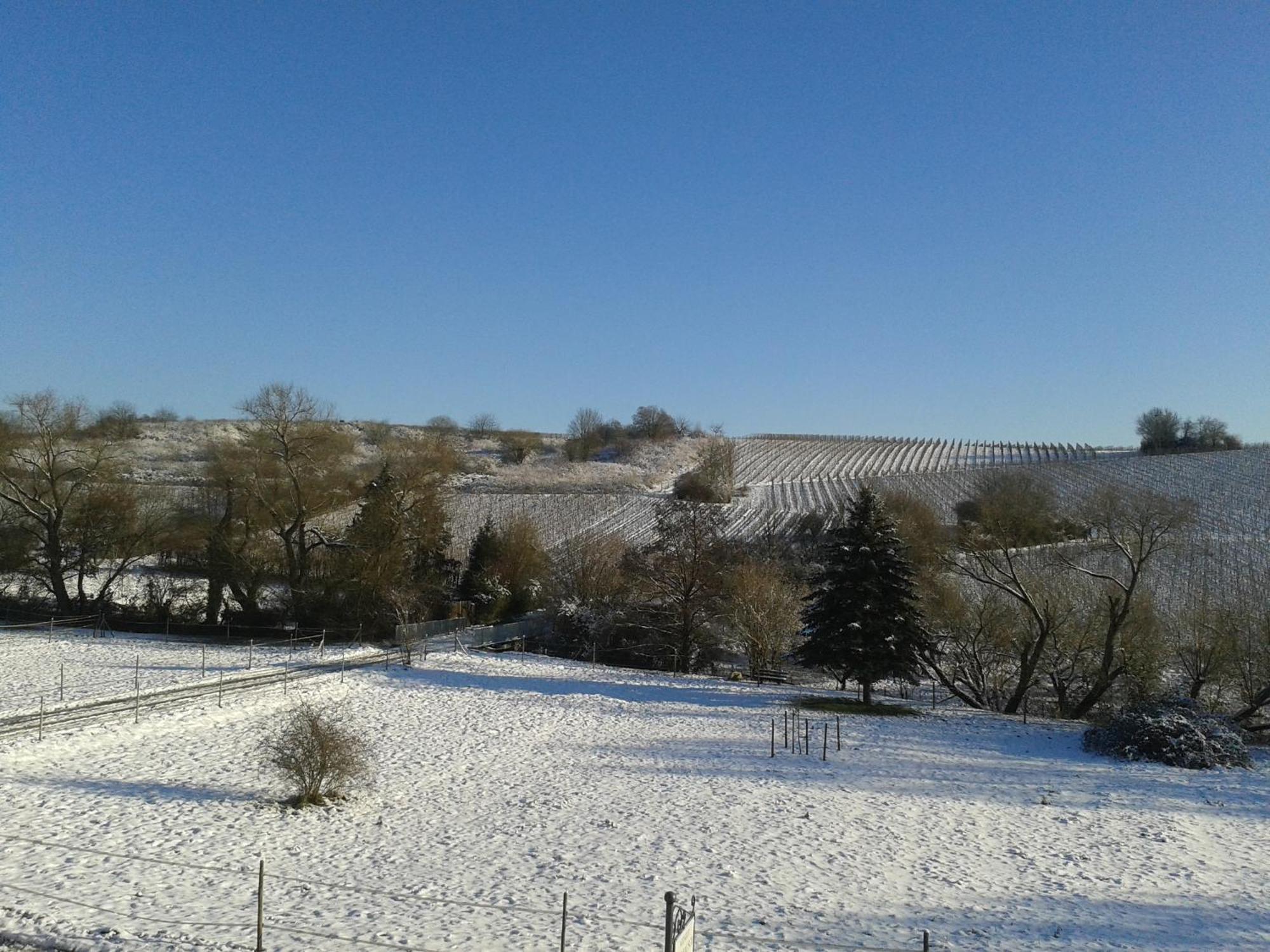 Weingut Hans Bausch Apartment Hattenheim Exterior photo